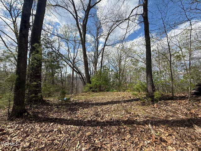 Tbd Lonesome Pine Trail, Butler, TN 37640