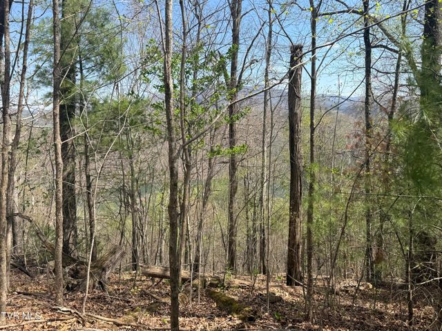 Tbd Lonesome Pine Trail, Butler, TN 37640