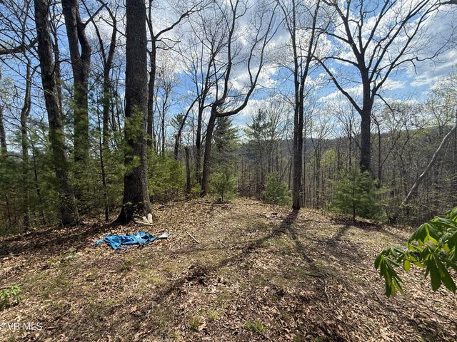 Tbd Lonesome Pine Trail, Butler, TN 37640