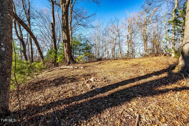 Tbd Lonesome Pine Trail, Butler, TN 37640