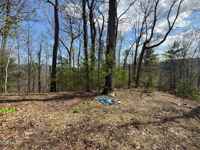 Tbd Lonesome Pine Trail, Butler, TN 37640