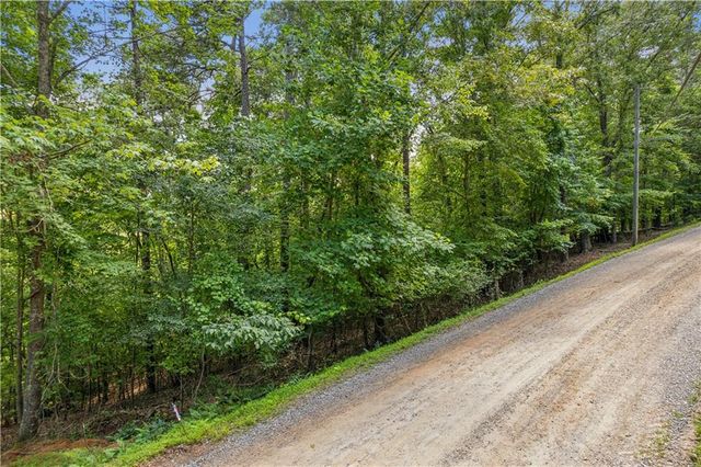 0 Alcan Way, Ellijay, GA 30540