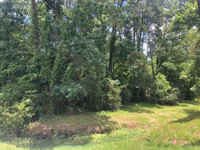 0 Bettyann Lane, Houston, TX 77339