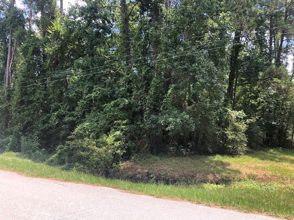 0 Bettyann Lane, Houston, TX 77339