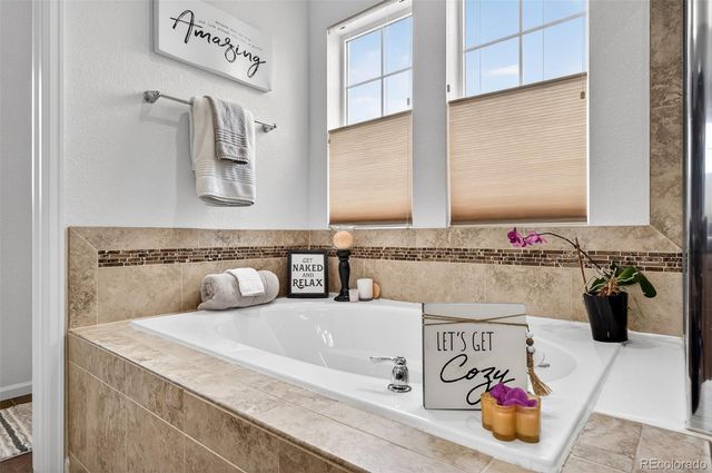 3543 Sky Church Drive, Castle Rock, CO 80109