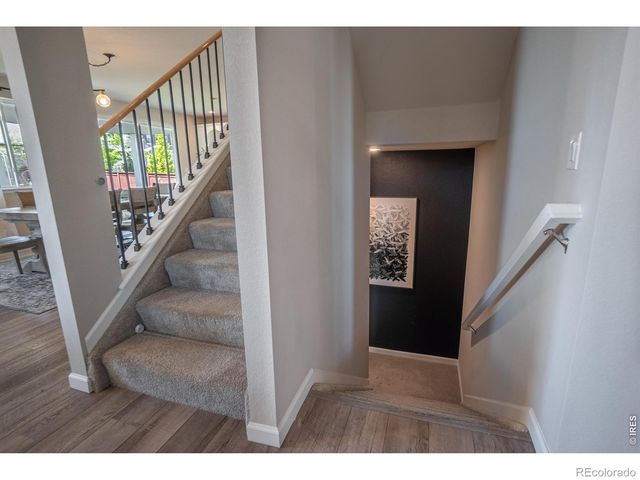1766 Bounty Drive, Windsor, CO 80550