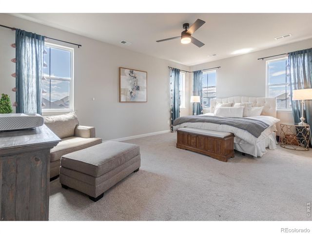 1766 Bounty Drive, Windsor, CO 80550
