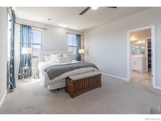 1766 Bounty Drive, Windsor, CO 80550