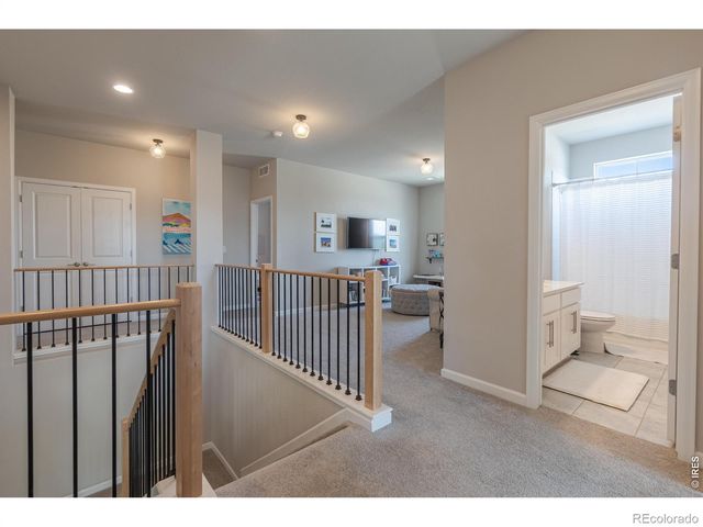 1766 Bounty Drive, Windsor, CO 80550
