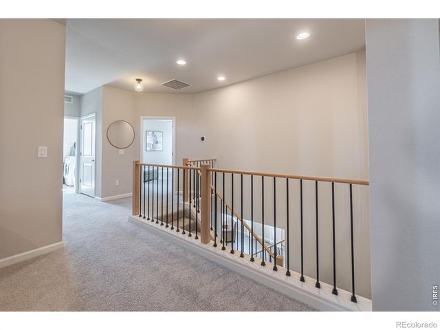 1766 Bounty Drive, Windsor, CO 80550