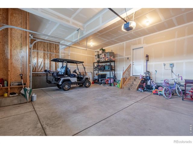 1766 Bounty Drive, Windsor, CO 80550