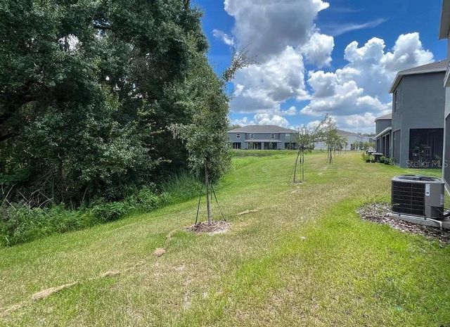 32867 PEZ LANDING LANE, Wesley Chapel, FL 33543