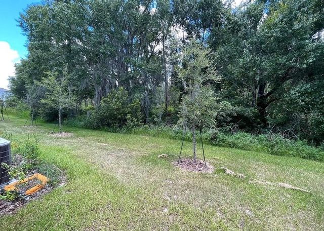 32867 PEZ LANDING LANE, Wesley Chapel, FL 33543