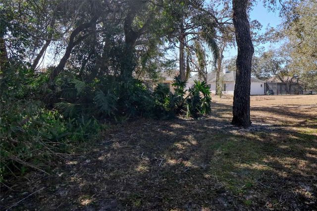 7328 FLYWAY DRIVE, Spring Hill, FL 34607