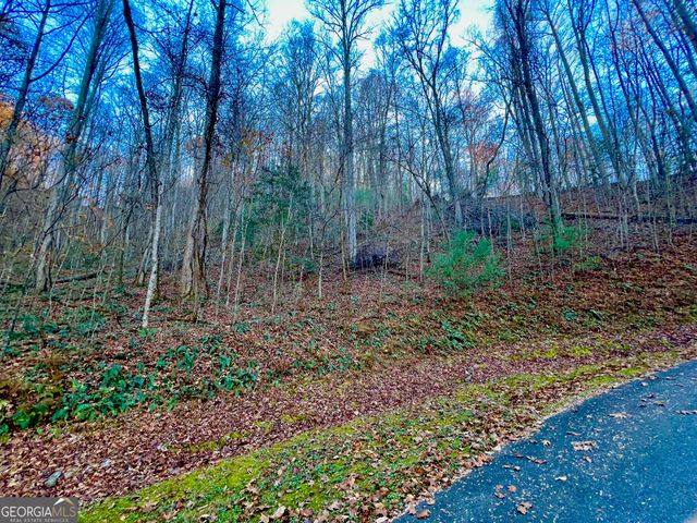 22 Walkers Ridge, Mineral Bluff, GA 30559