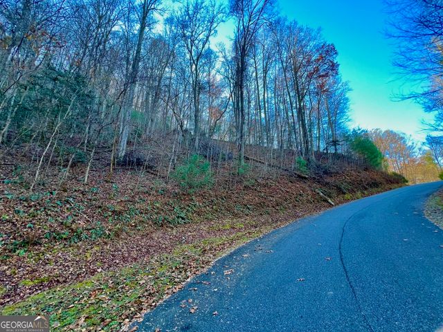 22 Walkers Ridge, Mineral Bluff, GA 30559