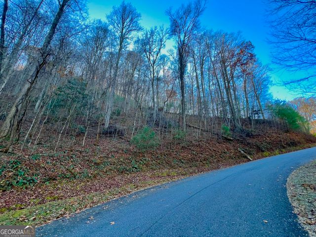 22 Walkers Ridge, Mineral Bluff, GA 30559