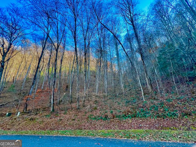 22 Walkers Ridge, Mineral Bluff, GA 30559