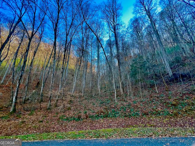22 Walkers Ridge, Mineral Bluff, GA 30559