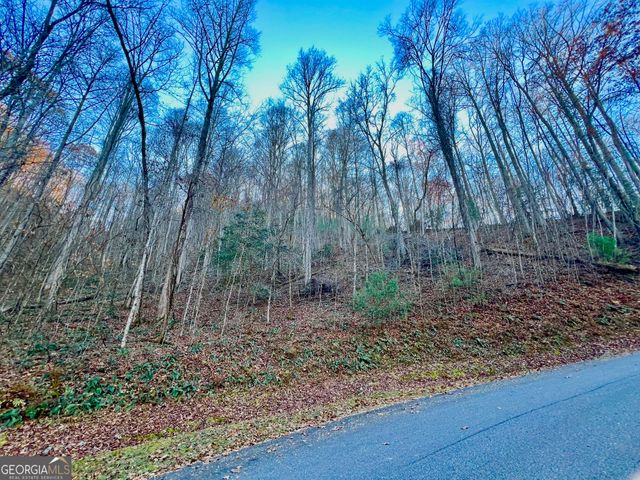 22 Walkers Ridge, Mineral Bluff, GA 30559