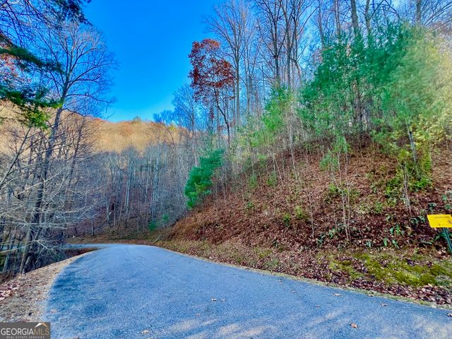 22 Walkers Ridge, Mineral Bluff, GA 30559