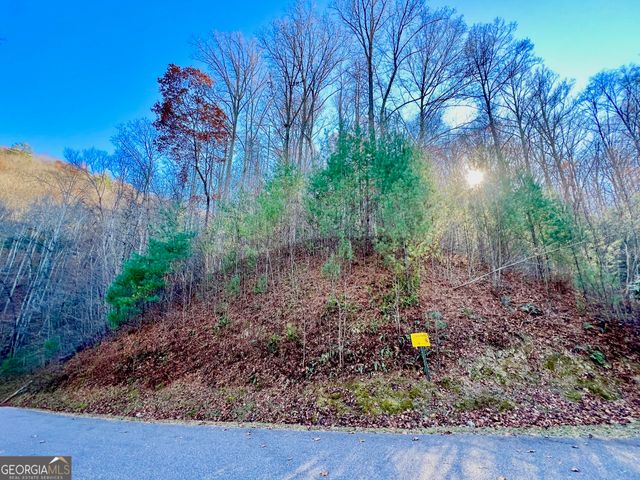 22 Walkers Ridge, Mineral Bluff, GA 30559