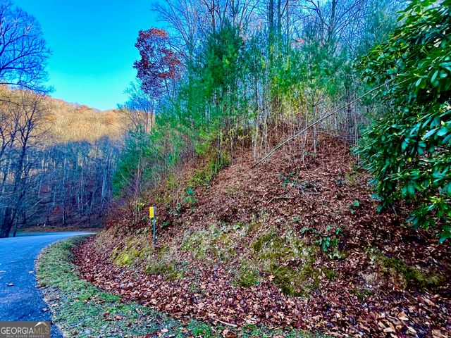 22 Walkers Ridge, Mineral Bluff, GA 30559