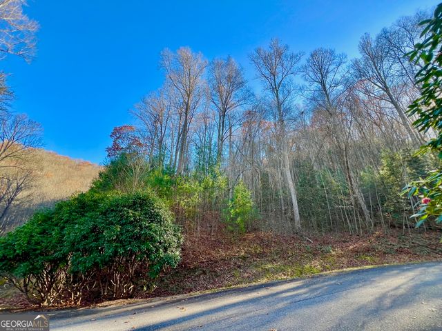 22 Walkers Ridge, Mineral Bluff, GA 30559