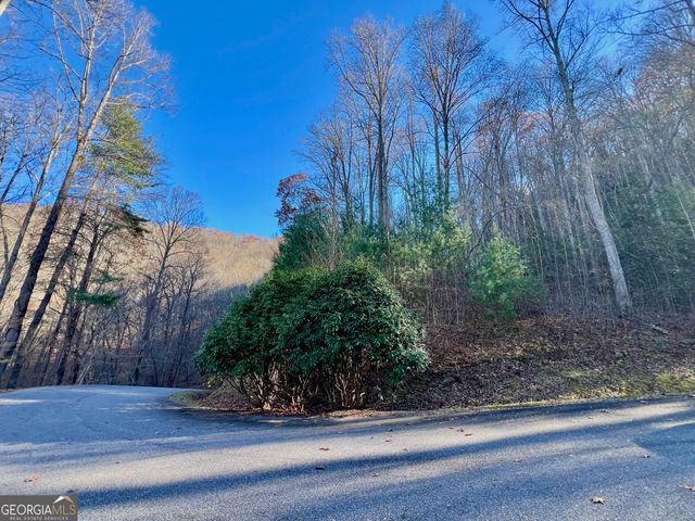 22 Walkers Ridge, Mineral Bluff, GA 30559