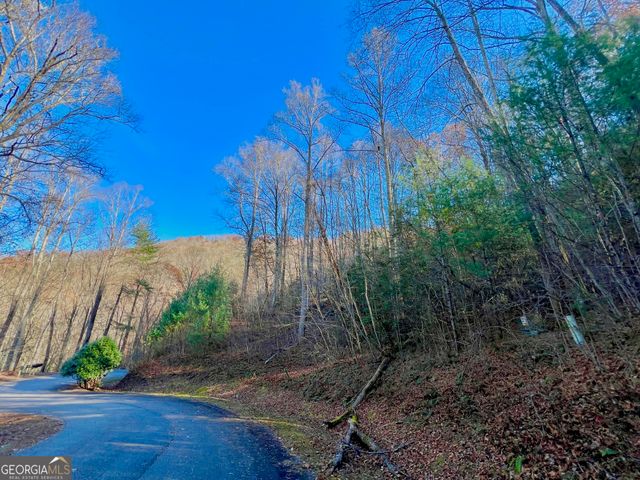 22 Walkers Ridge, Mineral Bluff, GA 30559