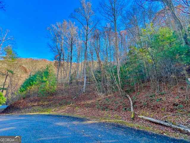 22 Walkers Ridge, Mineral Bluff, GA 30559