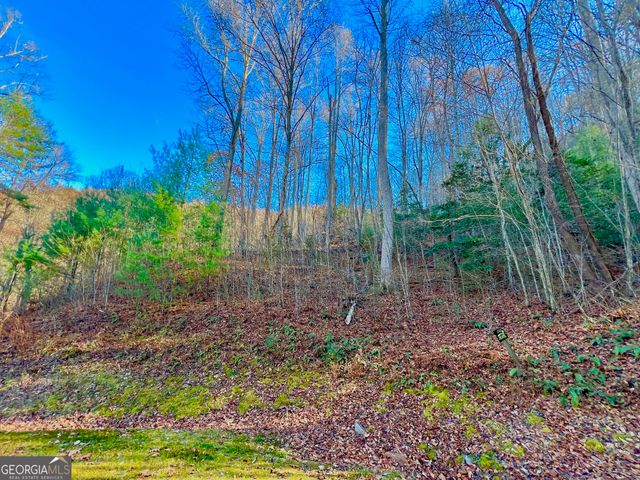 22 Walkers Ridge, Mineral Bluff, GA 30559