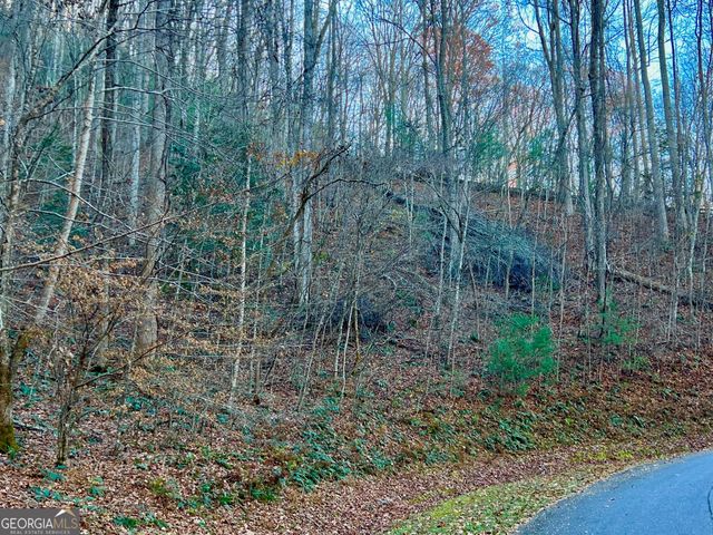 22 Walkers Ridge, Mineral Bluff, GA 30559