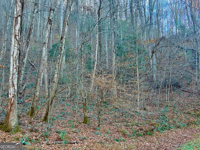 22 Walkers Ridge, Mineral Bluff, GA 30559