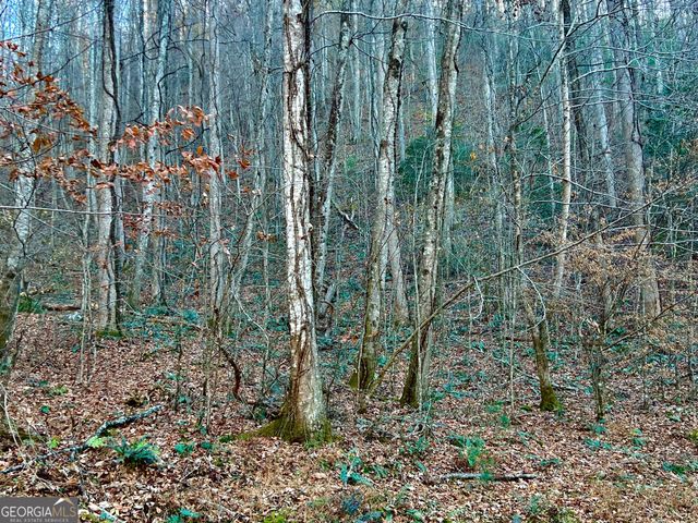 22 Walkers Ridge, Mineral Bluff, GA 30559