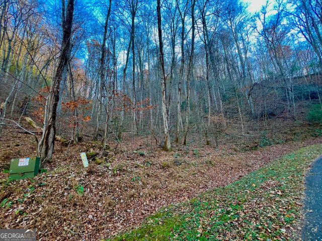 22 Walkers Ridge, Mineral Bluff, GA 30559