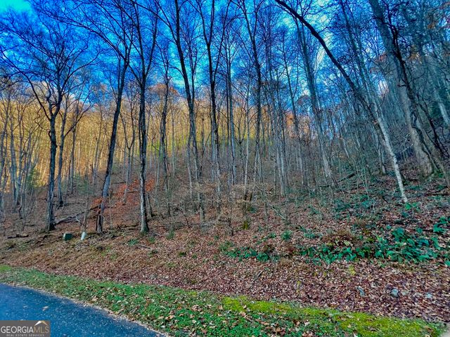22 Walkers Ridge, Mineral Bluff, GA 30559