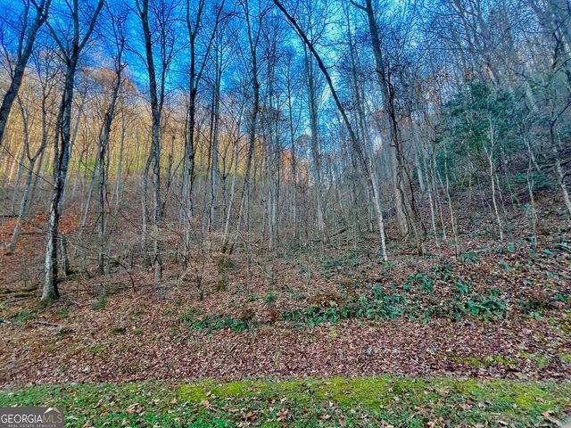 22 Walkers Ridge, Mineral Bluff, GA 30559