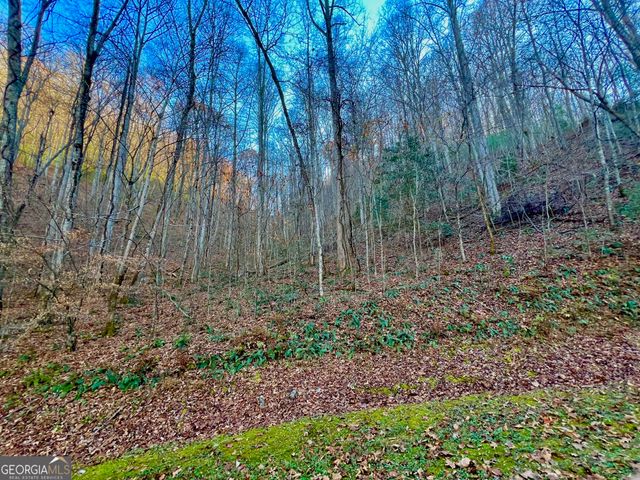 22 Walkers Ridge, Mineral Bluff, GA 30559