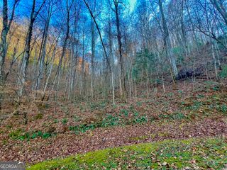 22 Walkers Ridge, Mineral Bluff, GA 30559