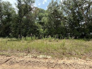 119 SMOKEY AVENUE, Interlachen, FL 32148