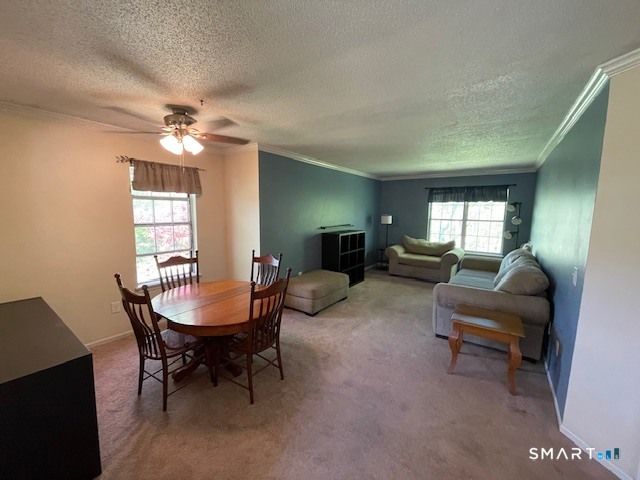 53 Brushy Plain Road 9F, Branford, CT 06405