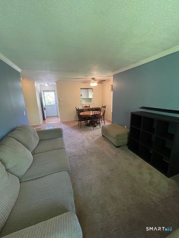 53 Brushy Plain Road 9F, Branford, CT 06405
