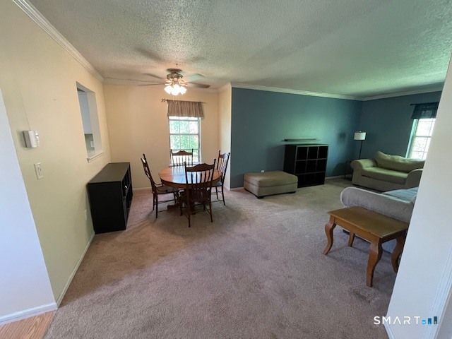 53 Brushy Plain Road 9F, Branford, CT 06405