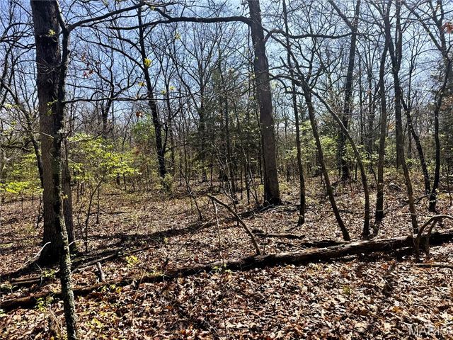 0 Highway 17, Crocker, MO 65452