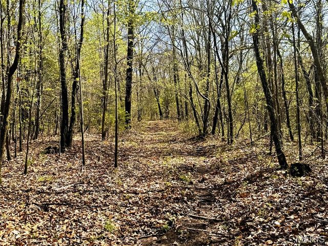 0 Highway 17, Crocker, MO 65452