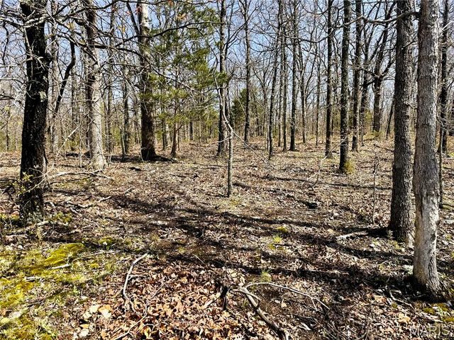 0 Highway 17, Crocker, MO 65452