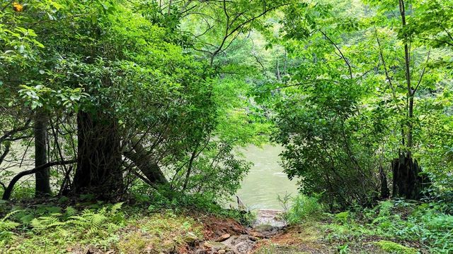 243 Chattahoochee Acres, Cleveland, GA 30528