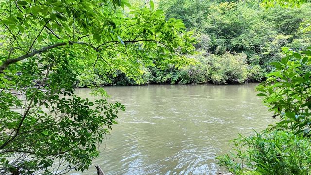 243 Chattahoochee Acres, Cleveland, GA 30528