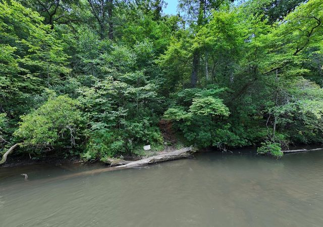 243 Chattahoochee Acres, Cleveland, GA 30528